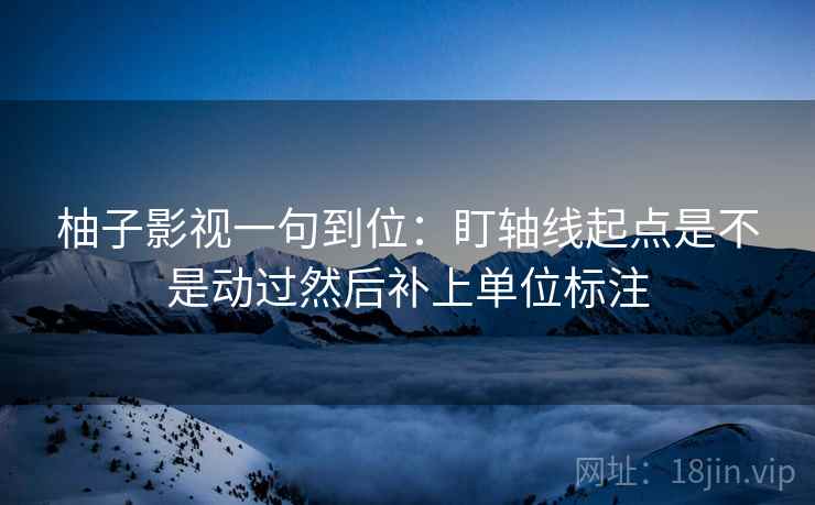 柚子影视一句到位：盯轴线起点是不是动过然后补上单位标注