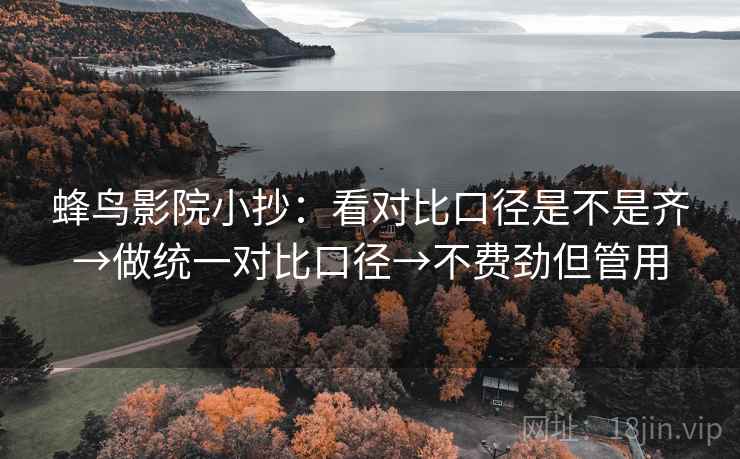 蜂鸟影院小抄：看对比口径是不是齐→做统一对比口径→不费劲但管用