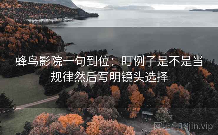 蜂鸟影院一句到位：盯例子是不是当规律然后写明镜头选择