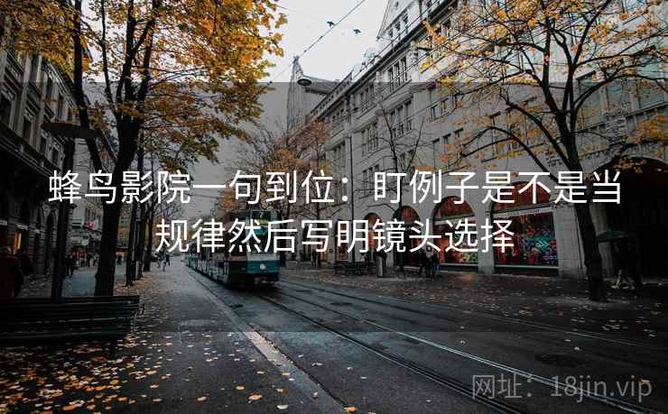 蜂鸟影院一句到位：盯例子是不是当规律然后写明镜头选择
